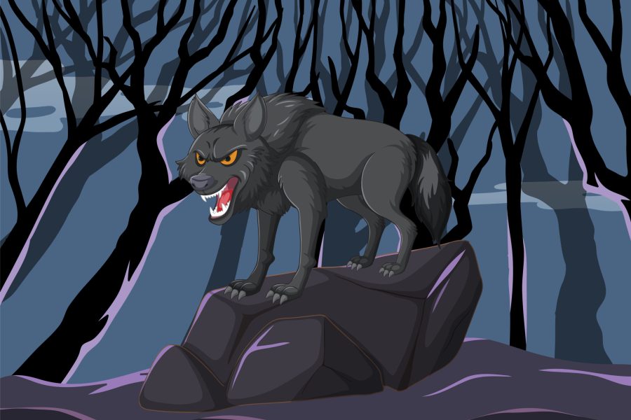 Angry wolf howling on a rock at night